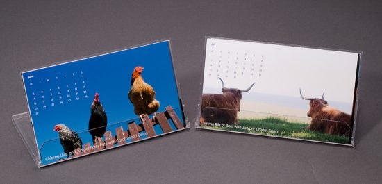 wag design - calendar - the juniper company