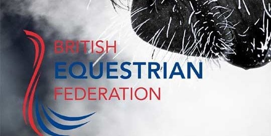 Wag Design - Case Study - British Equestrian Federation