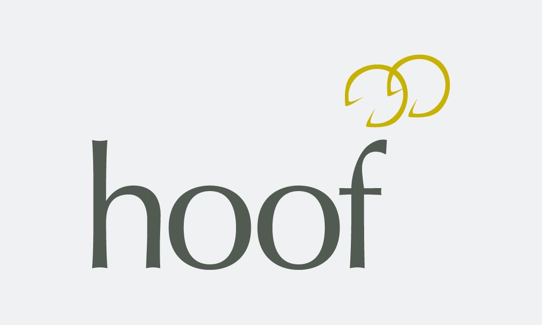 wag-design-hoof-logo-design-brand-identity copy